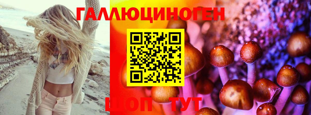 Псилоцибиновые грибы мицелий Сегежа